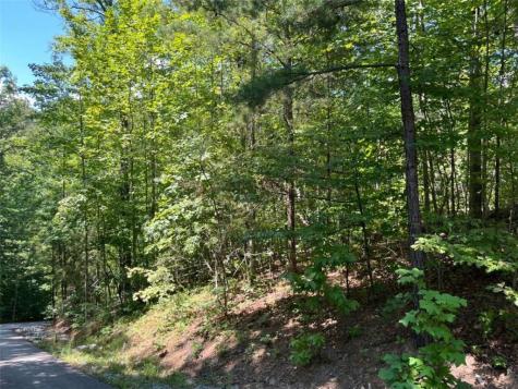 Lot 7 Forest Canopy Way Clayton GA 30525
