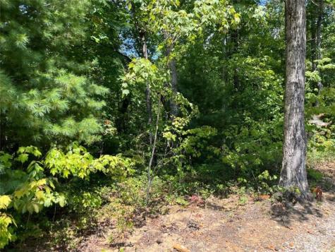 Lot 7 Forest Canopy Way Clayton GA 30525