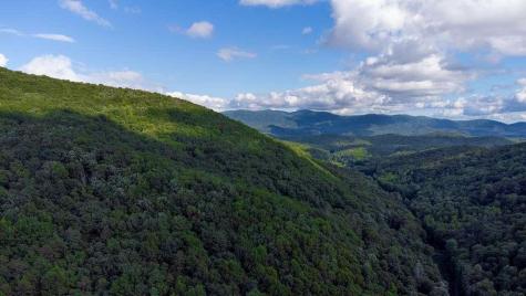 Lot 18 Cub Trail Cherry Log GA 30522