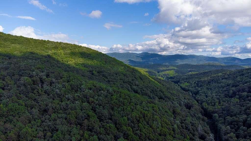 Lot 18 Cub Trail Cherry Log GA 30522