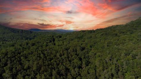 Lot 18 Cub Trail Cherry Log GA 30522