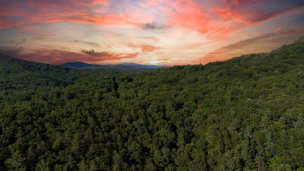 Lot 18 Cub Trail Cherry Log GA 30522