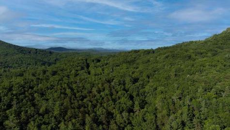 Lot 18 Cub Trail Cherry Log GA 30522
