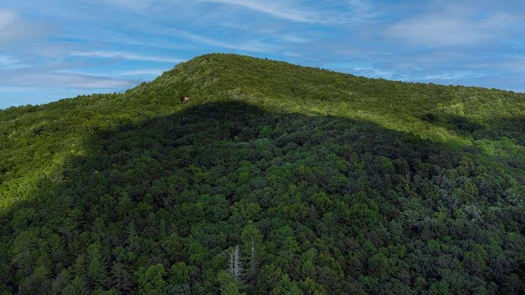 Lot 18 Cub Trail Cherry Log GA 30522