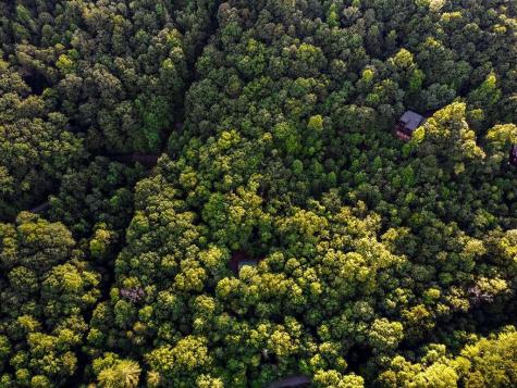 Lot 18 Cub Trail Cherry Log GA 30522