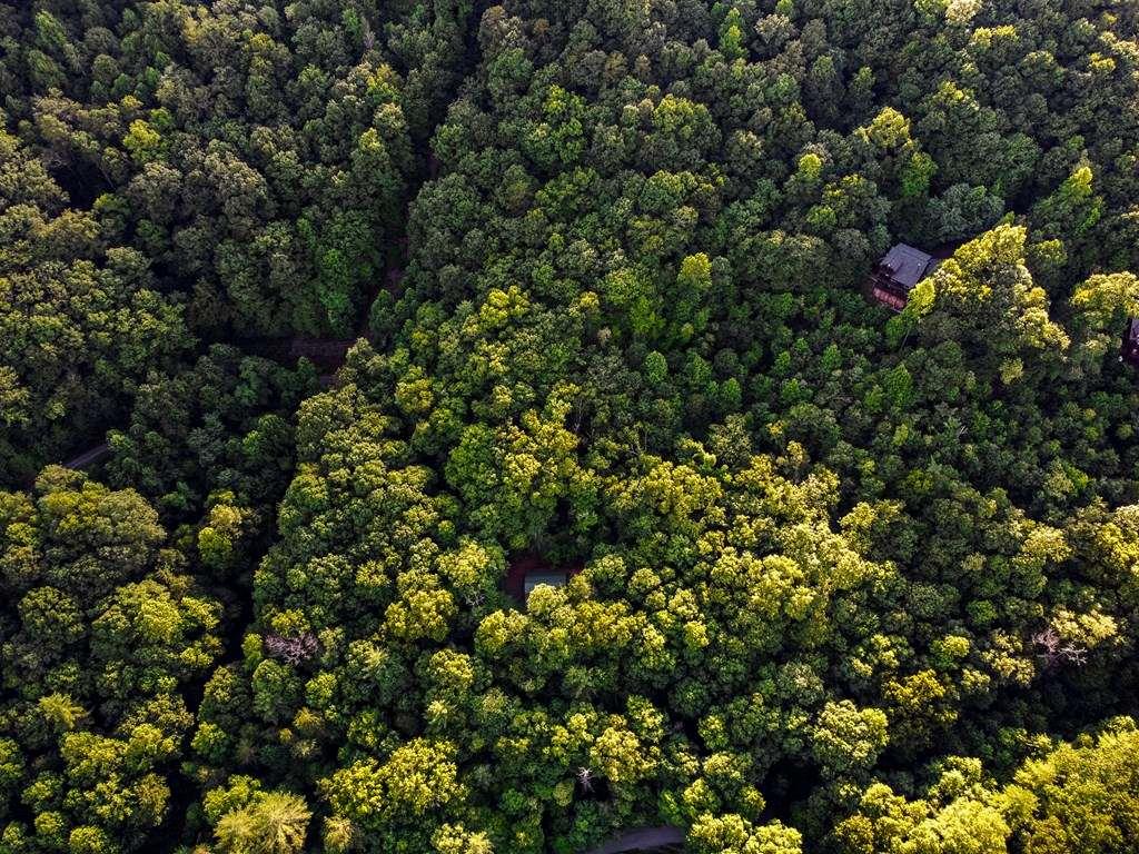 Lot 18 Cub Trail Cherry Log GA 30522