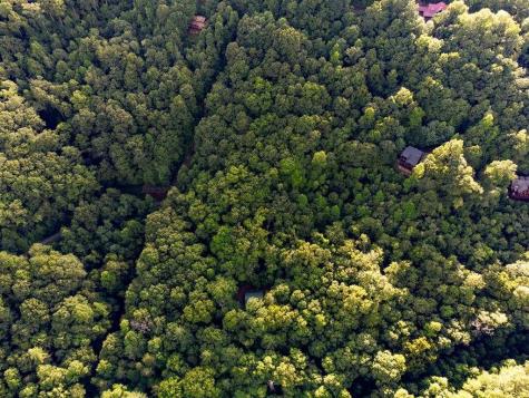 Lot 18 Cub Trail Cherry Log GA 30522