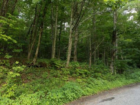 Lot 18 Cub Trail Cherry Log GA 30522