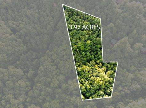 Lot 18 Cub Trail Cherry Log GA 30522