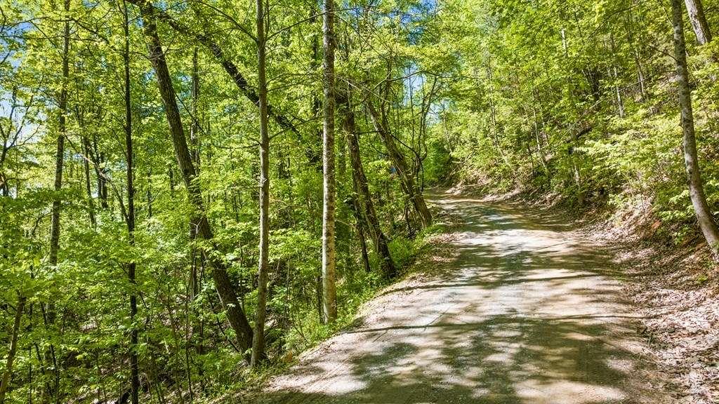 Lot 18 Cub Trail Cherry Log GA 30522