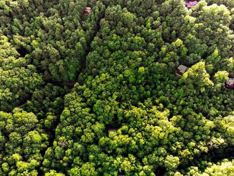 Lot 18 Cub Trail Cherry Log GA 30522