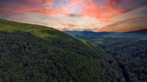 Lot 18 Cub Trail Cherry Log GA 30522