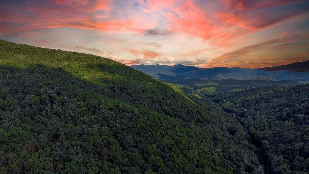 Lot 18 Cub Trail Cherry Log GA 30522