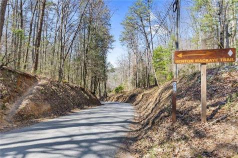 Lot 18 Cub Trail Cherry Log GA 30522