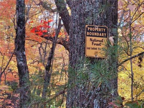Lot 18 Cub Trail Cherry Log GA 30522