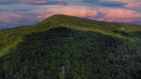 Lot 18 Cub Trail Cherry Log GA 30522