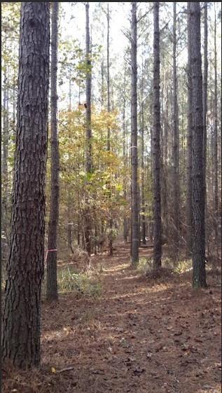 1047 Ponder Trammell Road Juliette GA 31046
