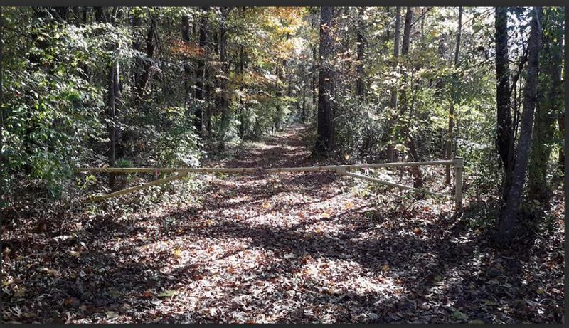 1047 Ponder Trammell Road Juliette GA 31046