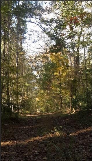 1047 Ponder Trammell Road Juliette GA 31046
