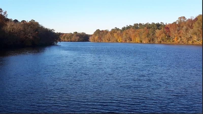 1047 Ponder Trammell Road Juliette GA 31046