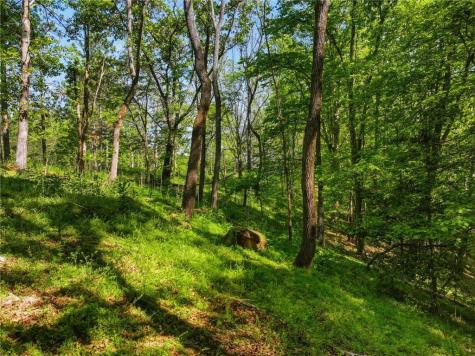 Lot 4 Summit Drive Dahlonega GA 30533