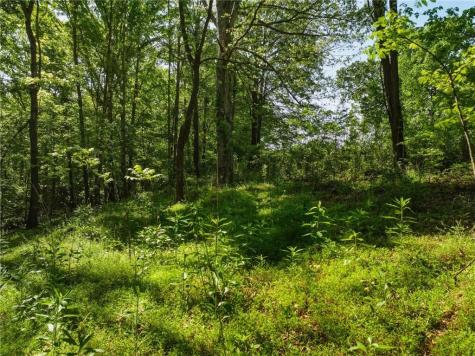 Lot 4 Summit Drive Dahlonega GA 30533