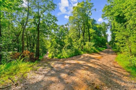 Lot 5 Firetower Jasper GA 30143