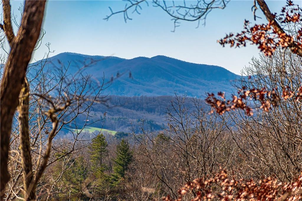 Lot 12 Meadow Brook Trail Morganton GA 30560