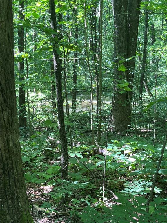 0 Monument Road Jasper GA 30143