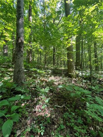 0 Monument Road Jasper GA 30143