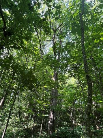 0 Monument Road Jasper GA 30143