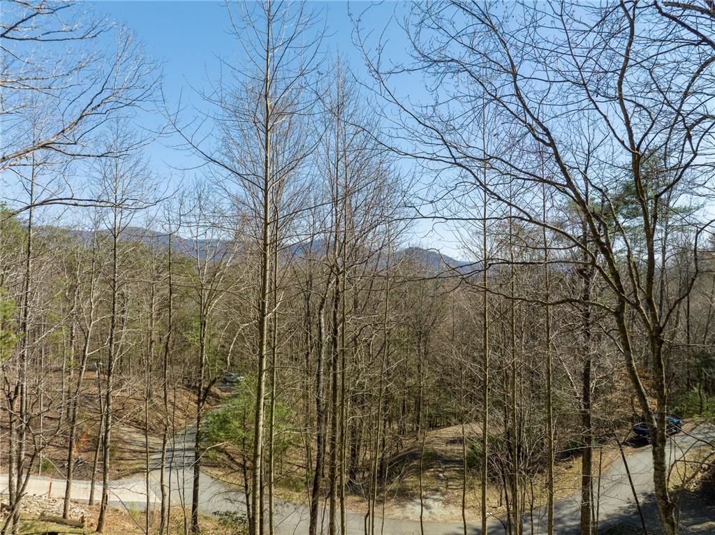0 Chicasaw Drive Ellijay GA 30540