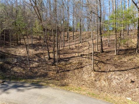 0 Chicasaw Drive Ellijay GA 30540
