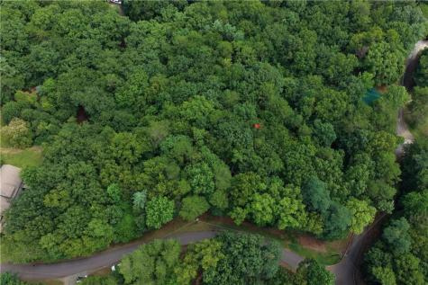 34 Laurel Ridge Drive Ellijay GA 30536