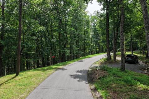 34 Laurel Ridge Drive Ellijay GA 30536