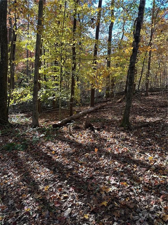 39 Planters Creek Drive Baldwin GA 30511