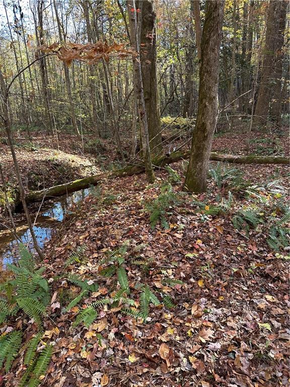 39 Planters Creek Drive Baldwin GA 30511