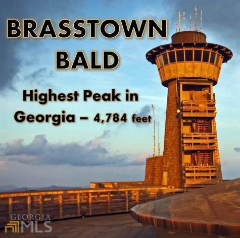 4 Mill Ridge Road Hiawassee GA 30546