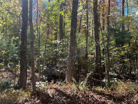 0 Little Mountain Road Dahlonega GA 30533