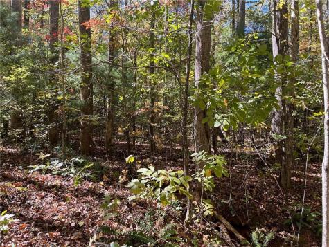 0 Little Mountain Road Dahlonega GA 30533