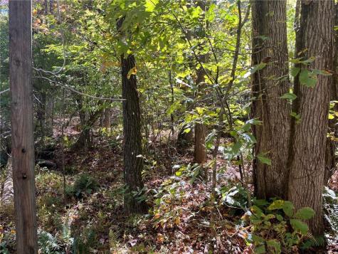 0 Little Mountain Road Dahlonega GA 30533