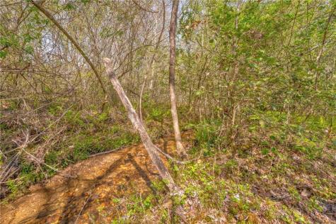 365 Waters Road Mccaysville GA 30555