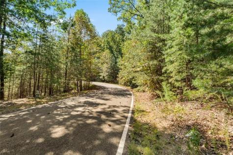 288 Blazingstar Trail Big Canoe GA 30143