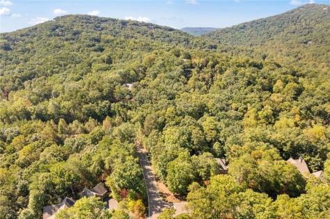 288 Blazingstar Trail Big Canoe GA 30143