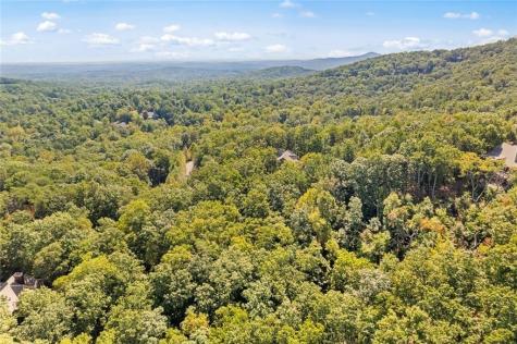 288 Blazingstar Trail Big Canoe GA 30143