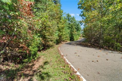 288 Blazingstar Trail Big Canoe GA 30143