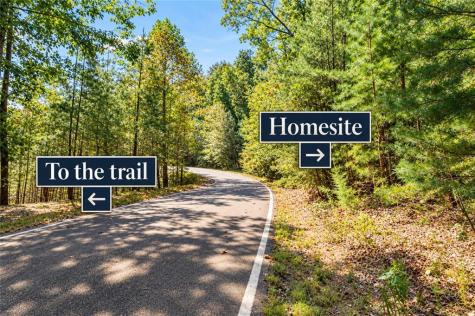 288 Blazingstar Trail Big Canoe GA 30143