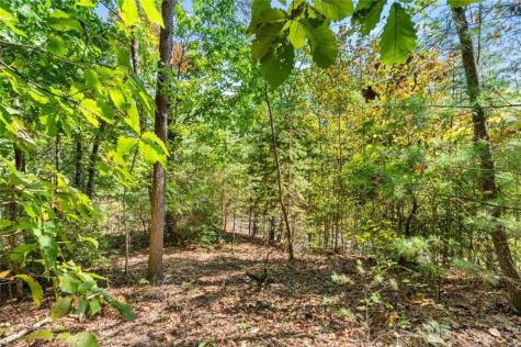 288 Blazingstar Trail Big Canoe GA 30143