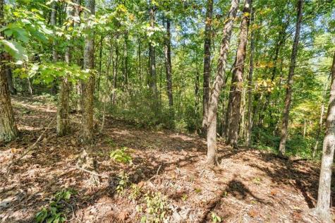 288 Blazingstar Trail Big Canoe GA 30143