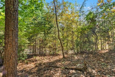 288 Blazingstar Trail Big Canoe GA 30143